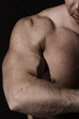 Muscular male arm