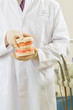 Dentist in his surgery, he holds a denture