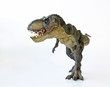 A Tyrannosaurus Hunts on a White Background