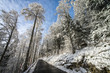 Photo: Vallée de Joux, Switzerland Vallée de Joux, Switzerland