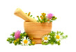 Medicine herbs, flowers and mortar - alternative medicine and tr
