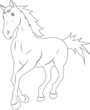 Silhouette of a horse jump young stallion running