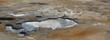 Solfatara fields 2