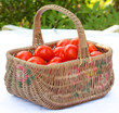 Tomato Basket 1