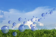 Photo: Spring fresh bubbles Spring fresh bubbles