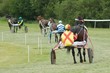 Course Hippique #53