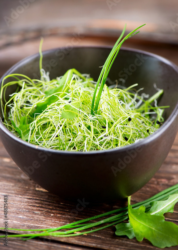 Photo: Microgreens. Healthy Green Salad. Little Sprouts. Diet Microgreens. Healthy Green Salad. Little Sprouts. Diet