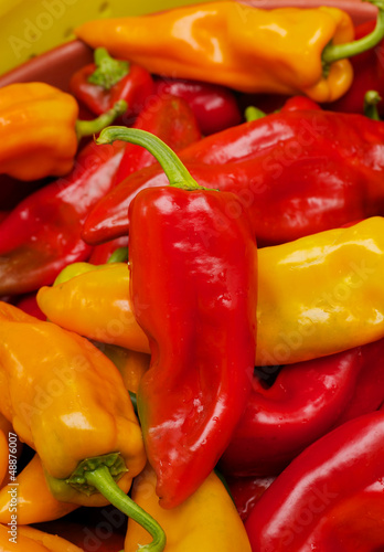 Photo: Red yellow orange chili peppers Red yellow orange chili peppers