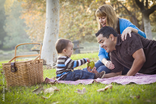 Photo: Happy Mixed Race Ethnic Family Having Picnic In The Park Happy Mixed Race Ethnic Family Having Picnic In The Park