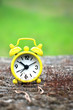 Yellow Clock in Outside