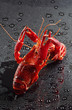 Red crawfish