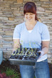 Seedlings