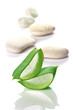 Fresh cut Aloe Vera slices and stones