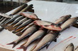poisson sur un marché iranien
