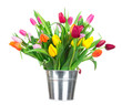 Beautiful tulips bouquet