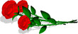 3 Rosen