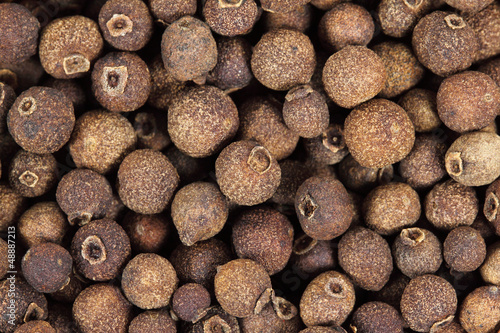 Photo: Allspice background Allspice background