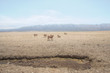 Photo: Mysterious landscape Mysterious landscape