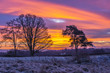Sunrise, Winter, Snow, Dumfries