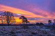 Sunrise, Winter, Snow, Dumfries
