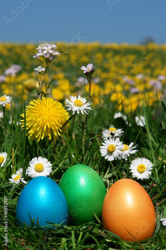 Photo: easter easter