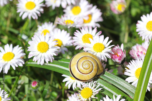 Photo: Gartenidylle Gartenidylle