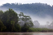 Kinabatangan River, Sabah. Borneo