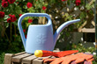 Gardening  - watering can, shovel, gloves