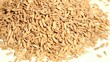 Pile of fresh roasted sunflower seeds