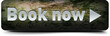 Book now button