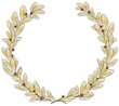 Alloro d'oro - Gold laurel