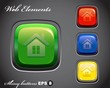 glossy button with homepage icon