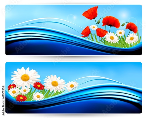 Vector: Nature banners with color flowers. Vector. Nature banners with color flowers. Vector.