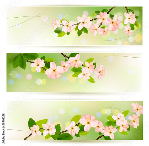 Vector: Three spring banners with blossoming tree brunch with spring flo Three spring banners with blossoming tree brunch with spring flo