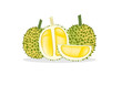 Durian
