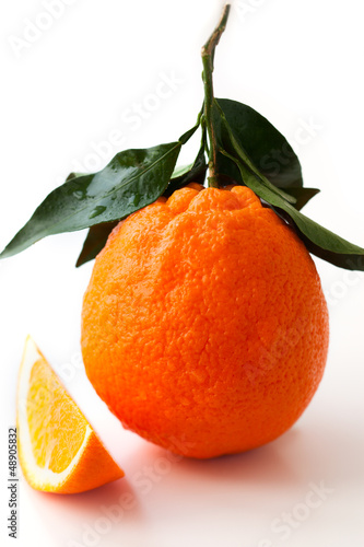 Photo: orange orange