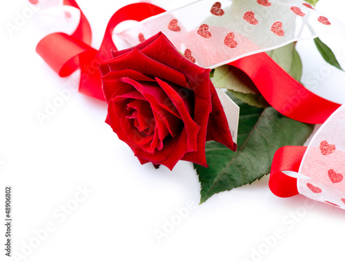 Photo: Valentines Gift. Rose Flower with Ribbon isolated on white Valentines Gift. Rose Flower with Ribbon isolated on white