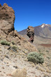 Ténérife - El Teide (Los Roques de Garcia) 