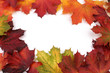 Buntes Herbstlaub