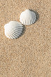 Zwei Herzmuscheln im Sand, Paar, Sommerurlaub zu zweit