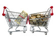 Shopping Cart with money