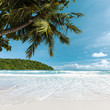 Tropical beach in the morning. Square composition.