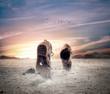 Photo: Desire to be free Desire to be free
