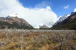 El Chalten Fritz Roy 