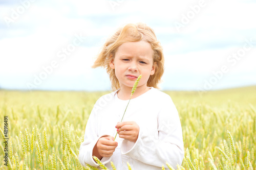 Photo: im feld im feld