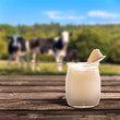 Yaourt nature, fond campagne et vaches