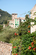 Mallorca - Bergdorf Valldemossa