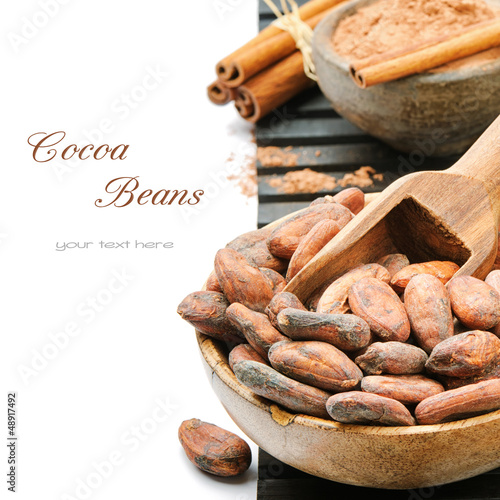Photo: Cocoa beans and powder Cocoa beans and powder