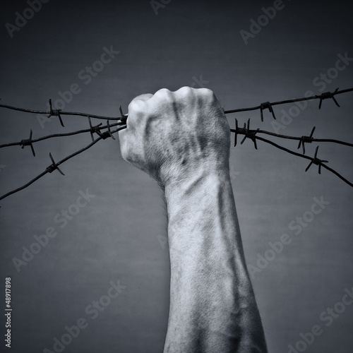 Photo: Freedom Freedom