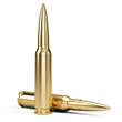 Bullets